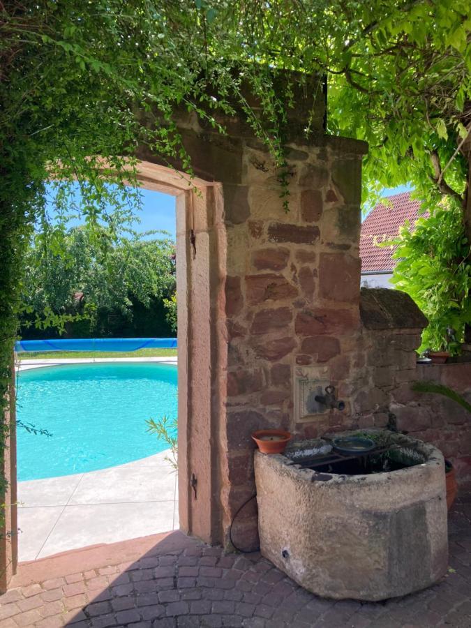 Le Grenier - Piscine Et Spa Marlenheim Eksteriør billede